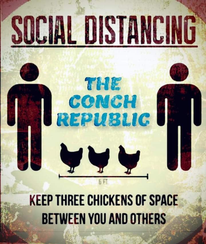 Three_Chickens_Distance